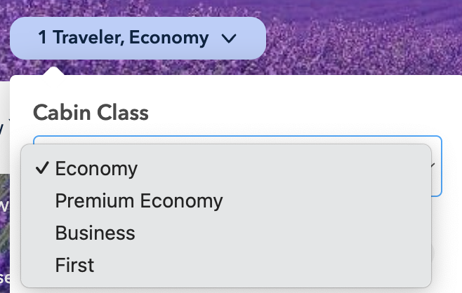example-cabin class.png